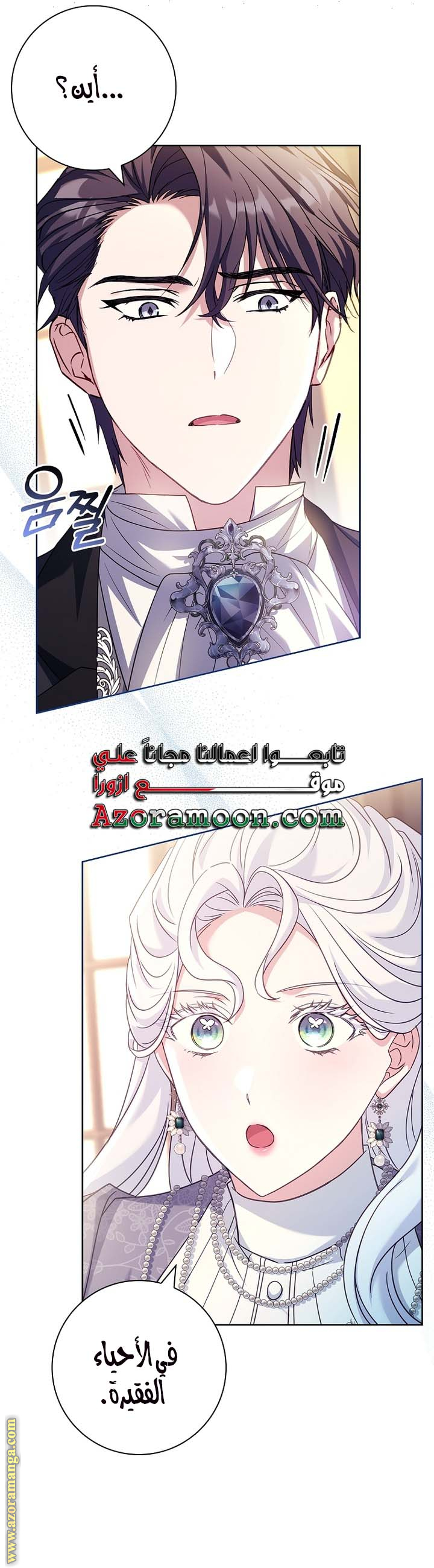 الصفحة 20