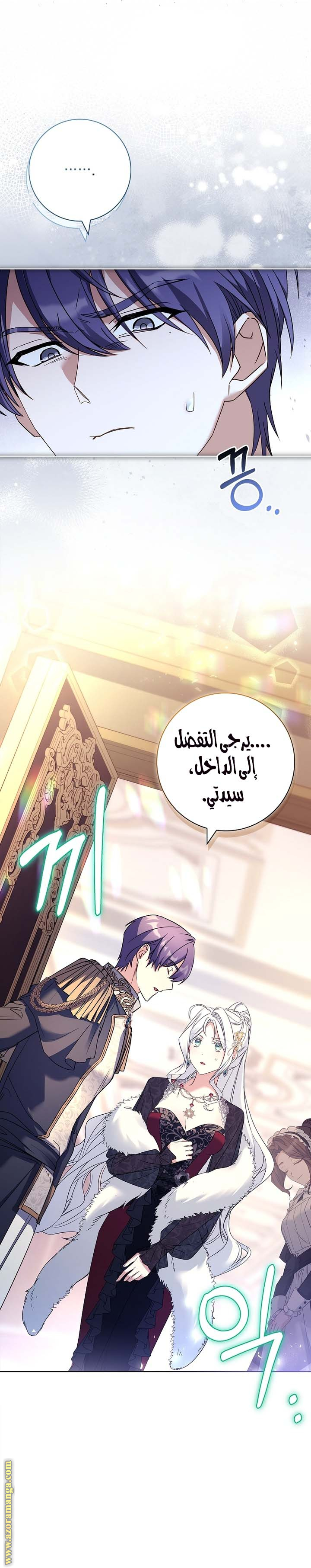 الصفحة 13