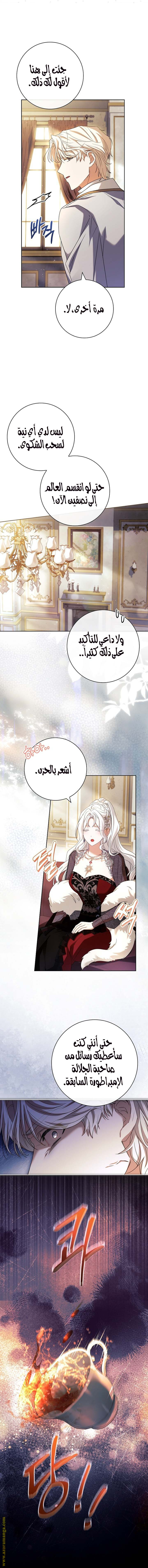 الصفحة 21
