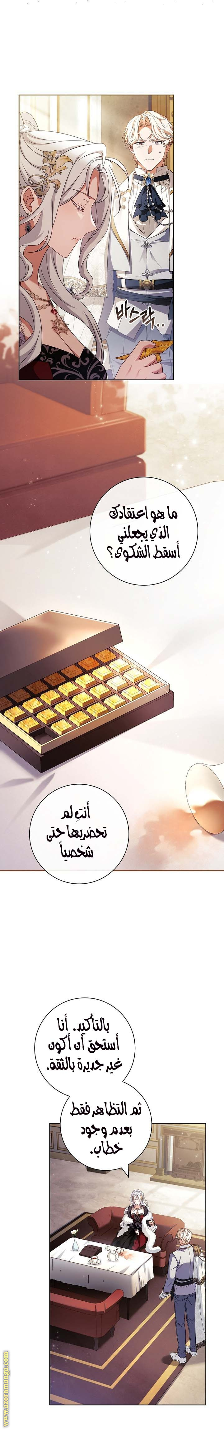 الصفحة 27