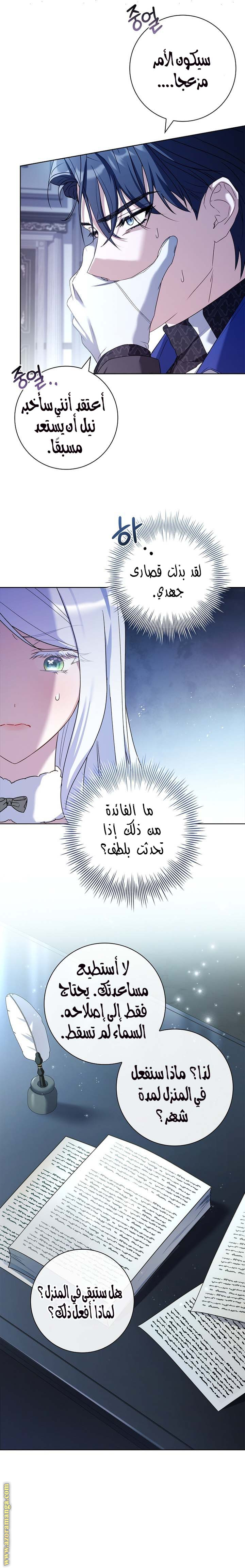 الصفحة 17