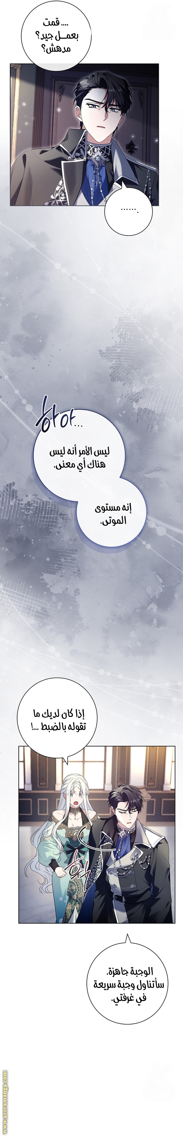 الصفحة 13