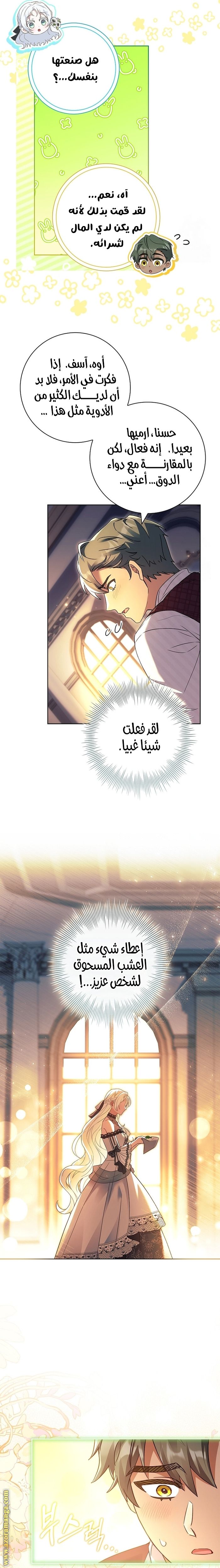 الصفحة 5