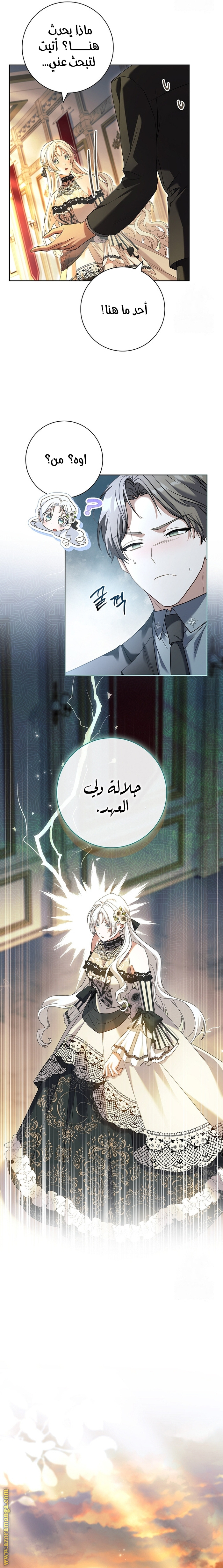 الصفحة 13
