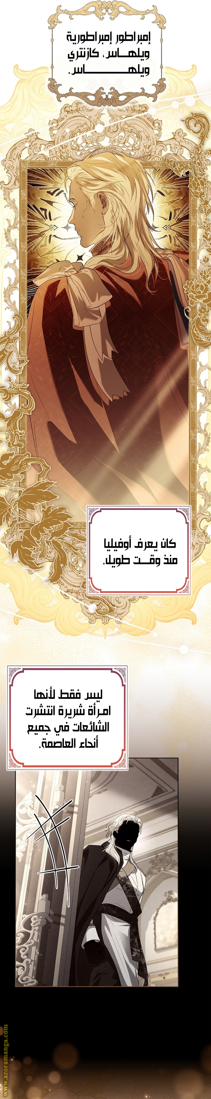 الصفحة 17
