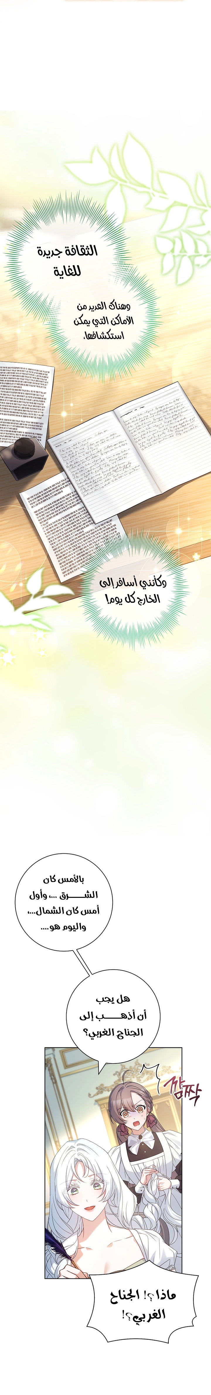 الصفحة 22