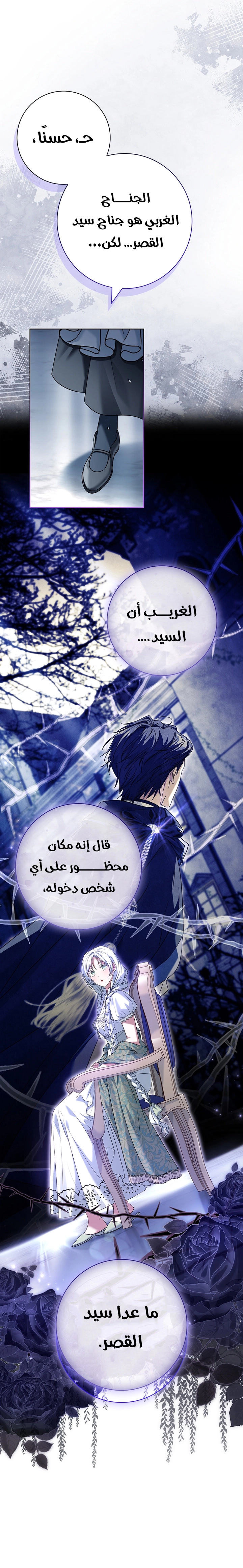 الصفحة 24