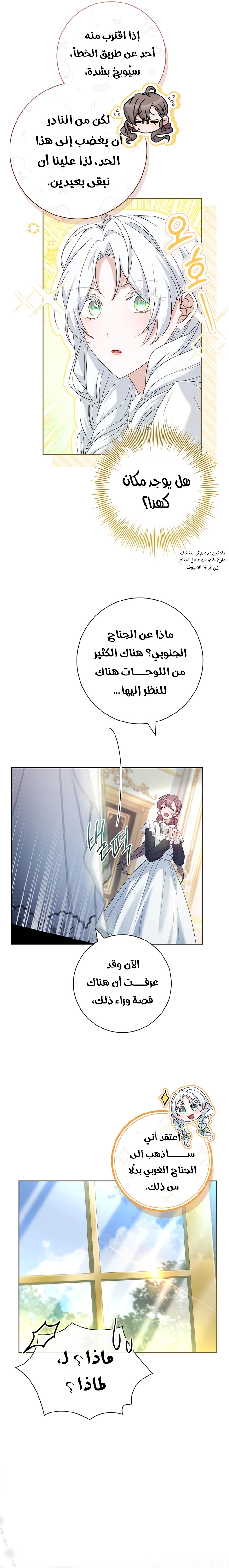 الصفحة 25