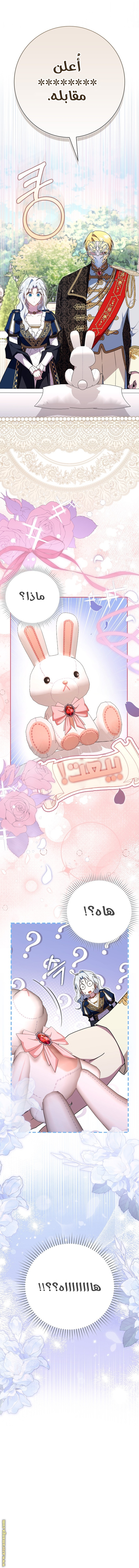الصفحة 20
