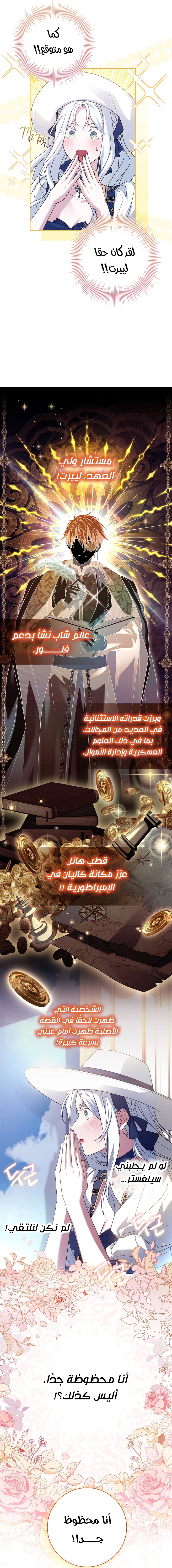 الصفحة 33
