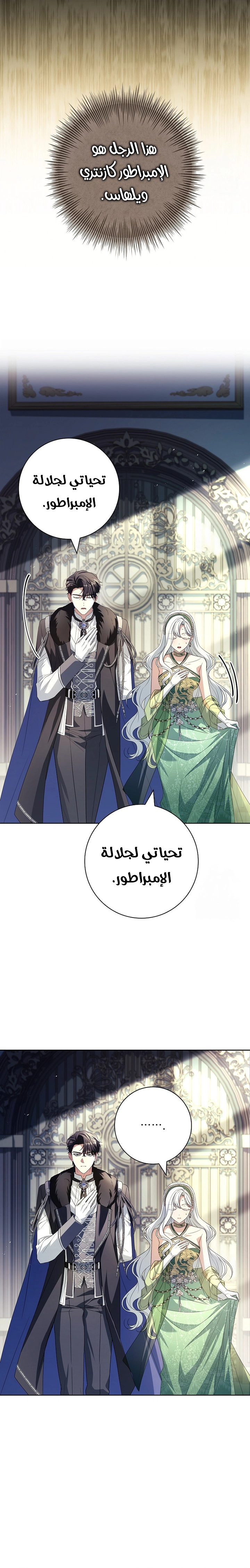 الصفحة 20