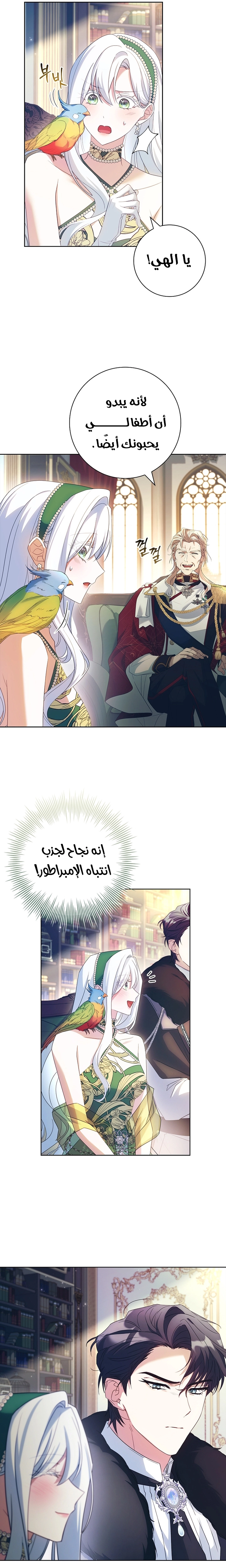 الصفحة 13