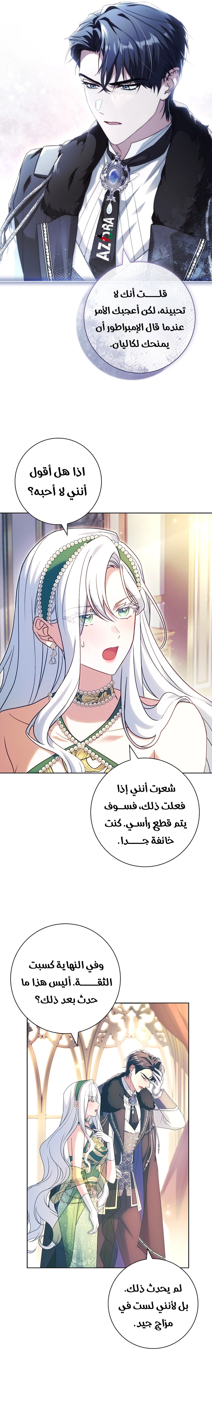 الصفحة 17