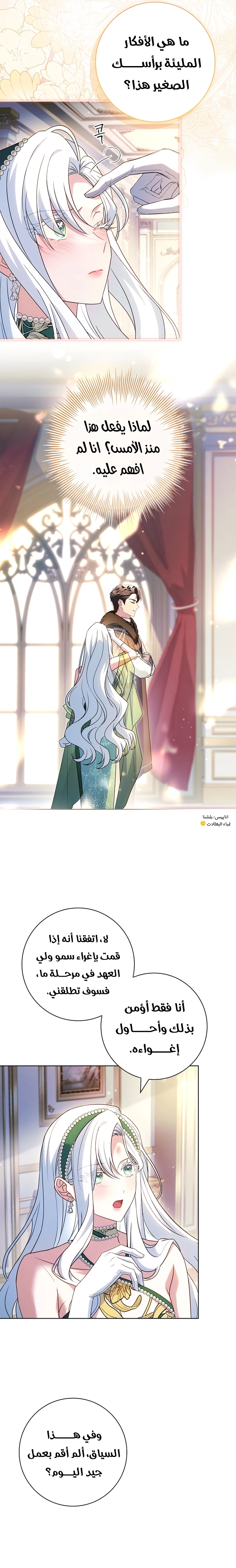 الصفحة 19