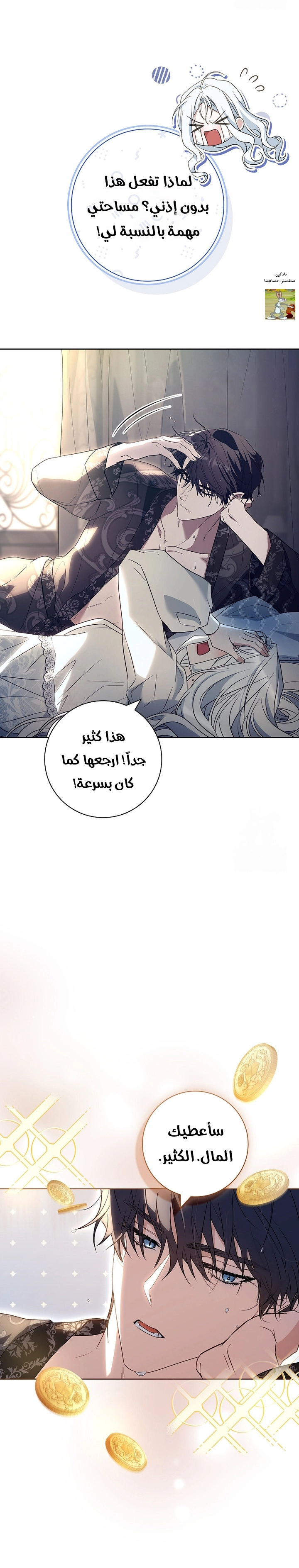 الصفحة 17