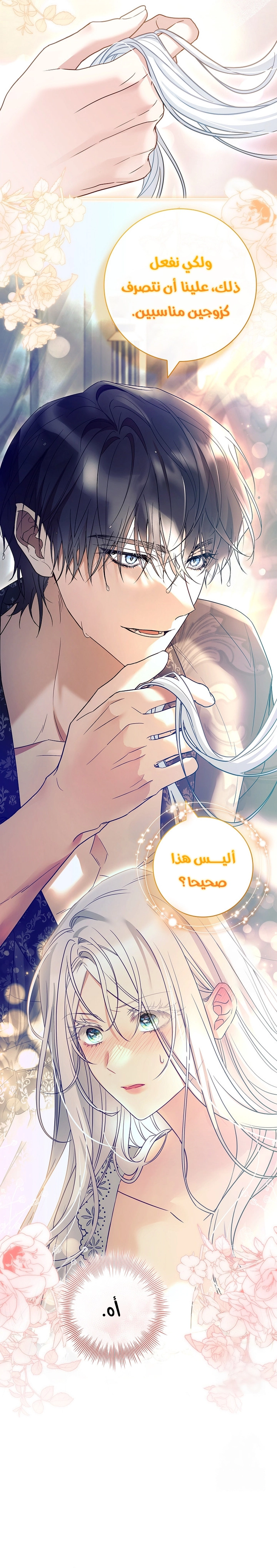 الصفحة 24