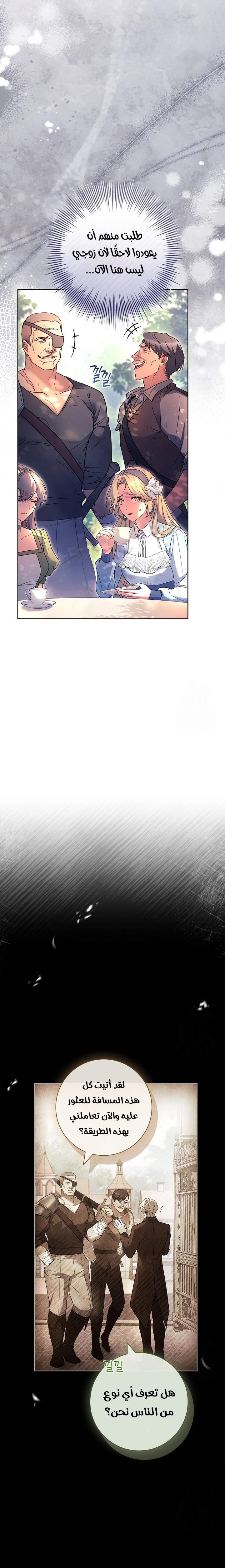 الصفحة 17