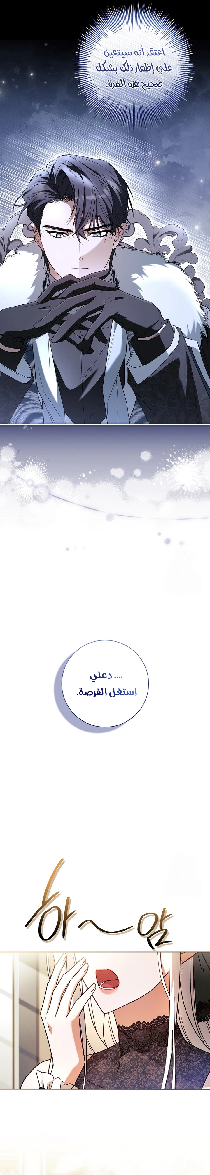 الصفحة 20