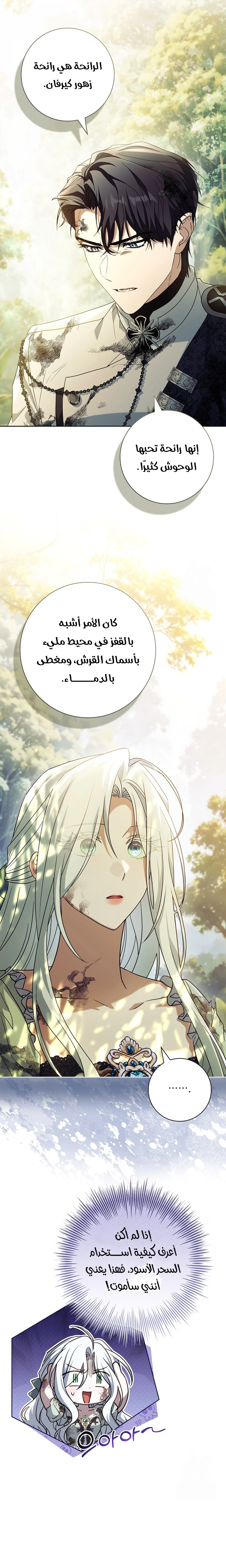 الصفحة 19