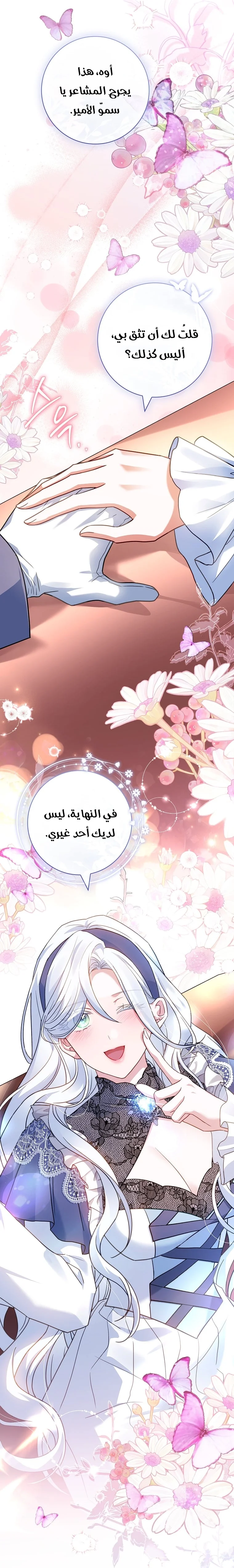 الصفحة 17
