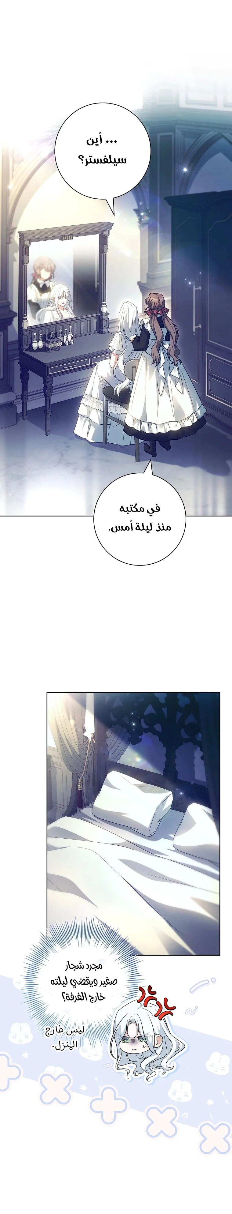 الصفحة 25