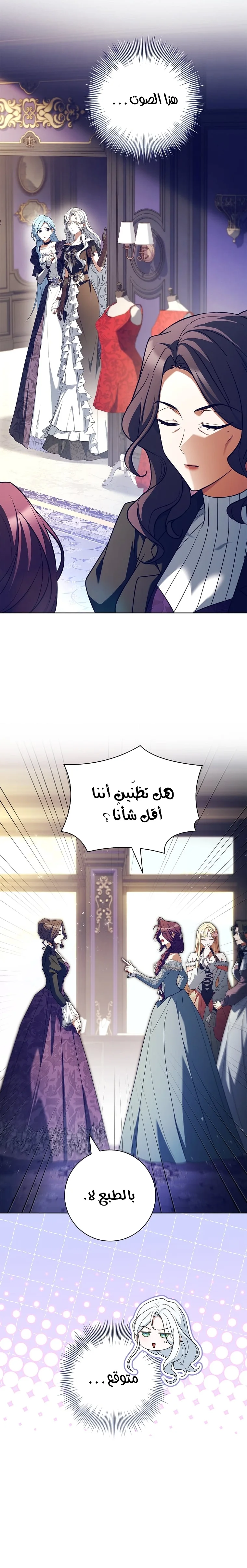 الصفحة 17