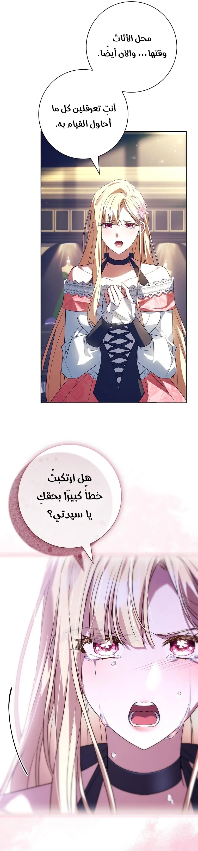 الصفحة 24