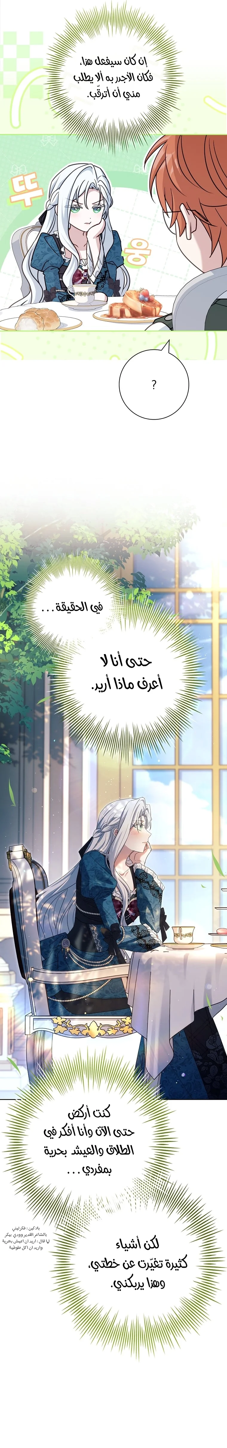 الصفحة 28