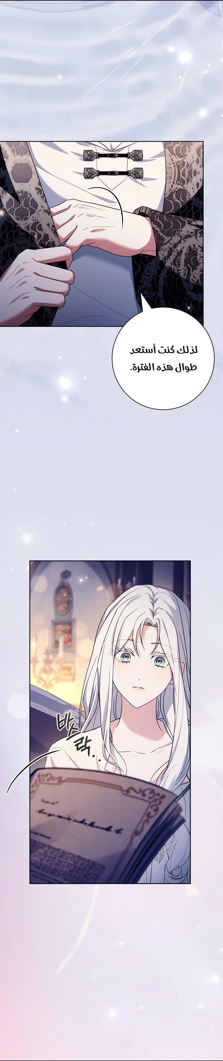 الصفحة 27