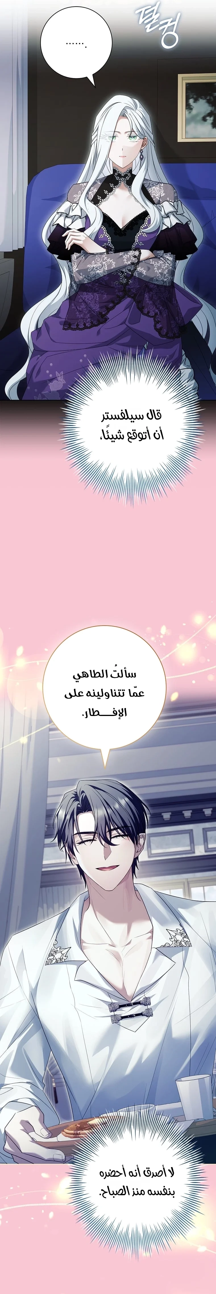 الصفحة 21