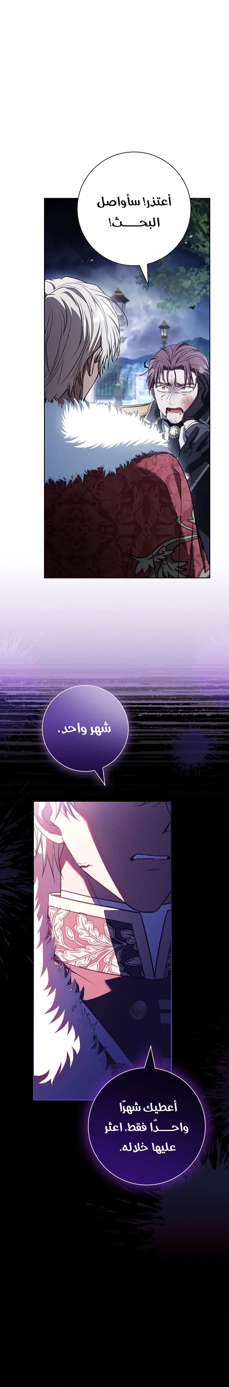 الصفحة 27