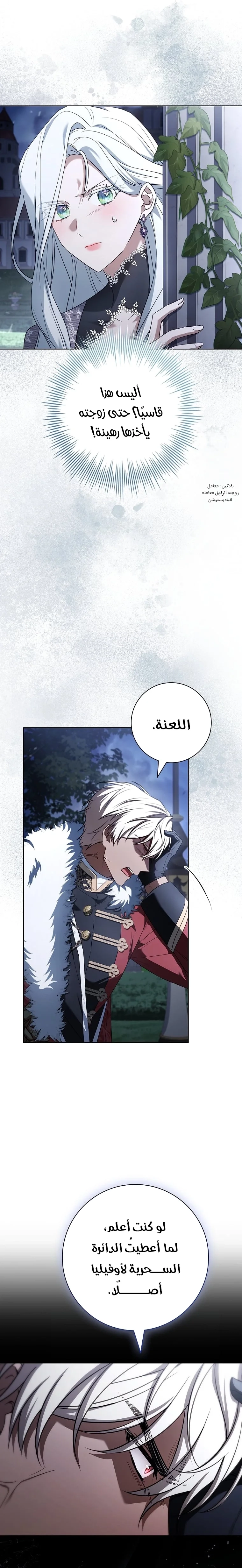الصفحة 29