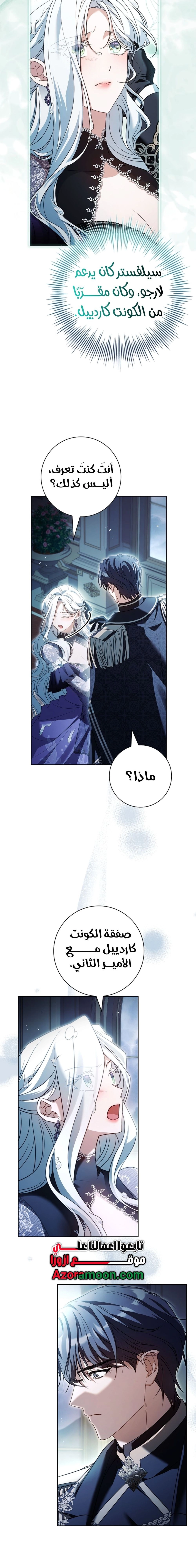 الصفحة 17