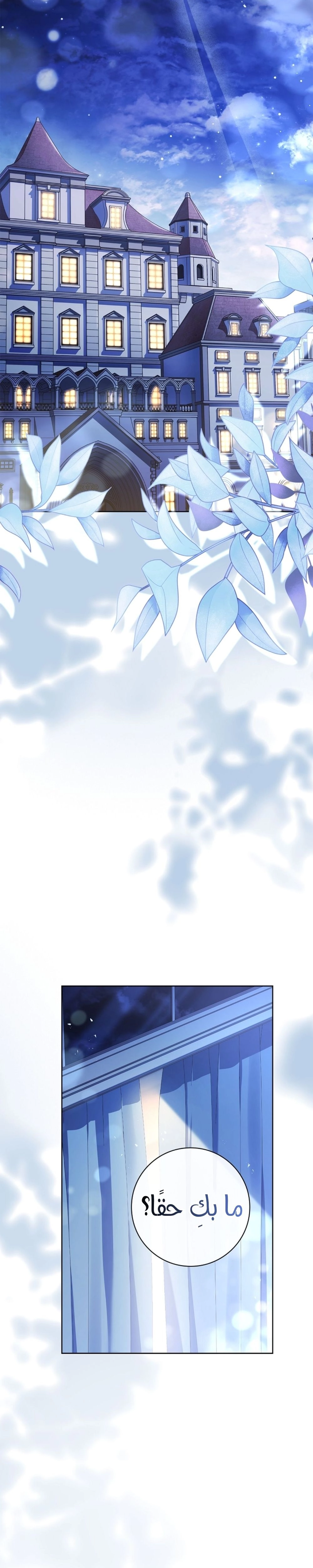 الصفحة 20
