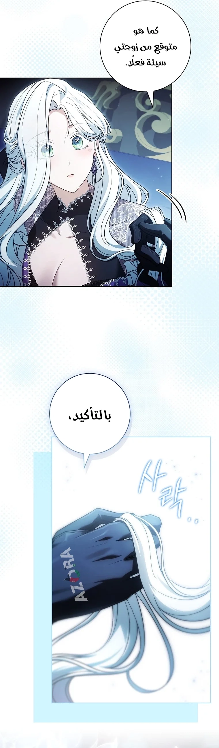 الصفحة 12