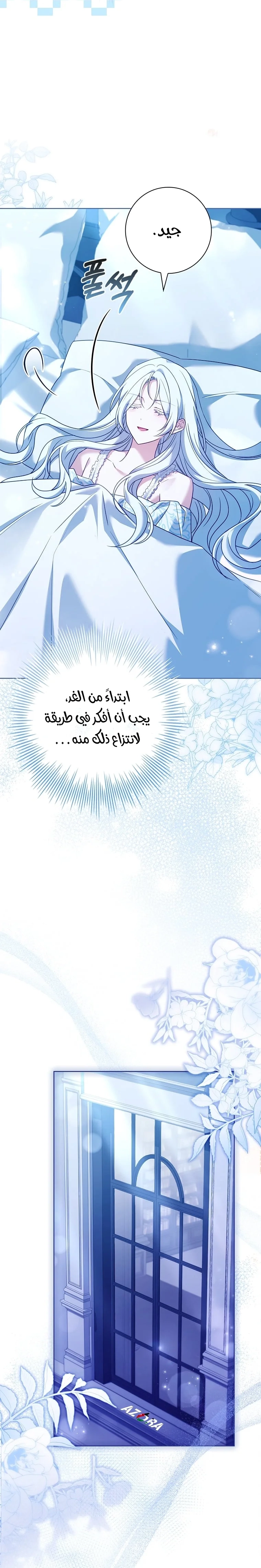 الصفحة 17