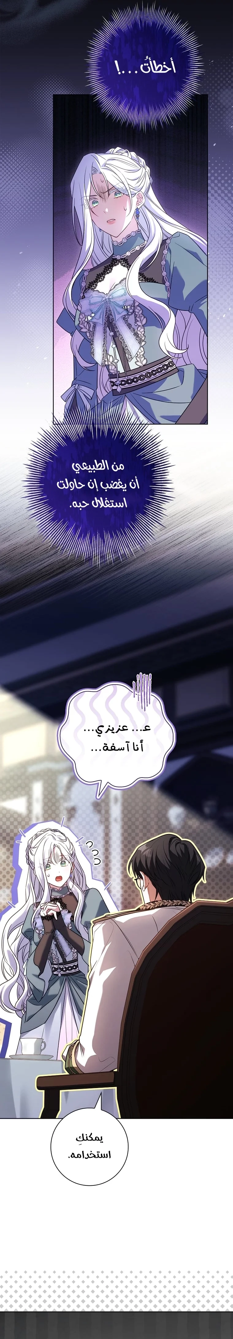 الصفحة 28