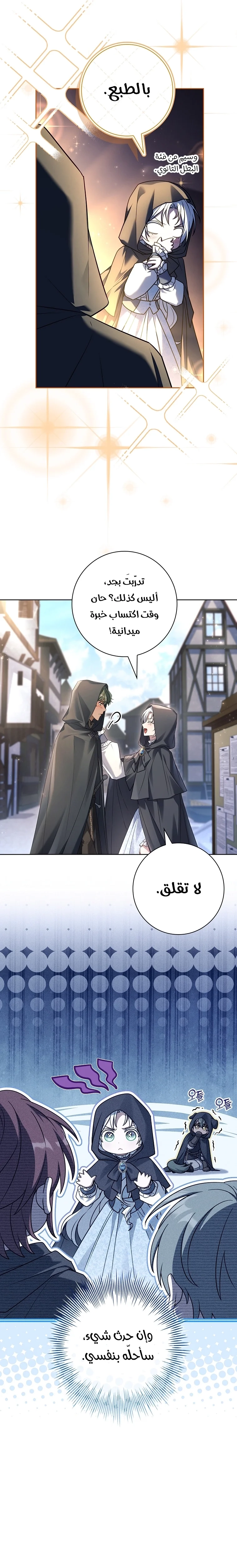الصفحة 13