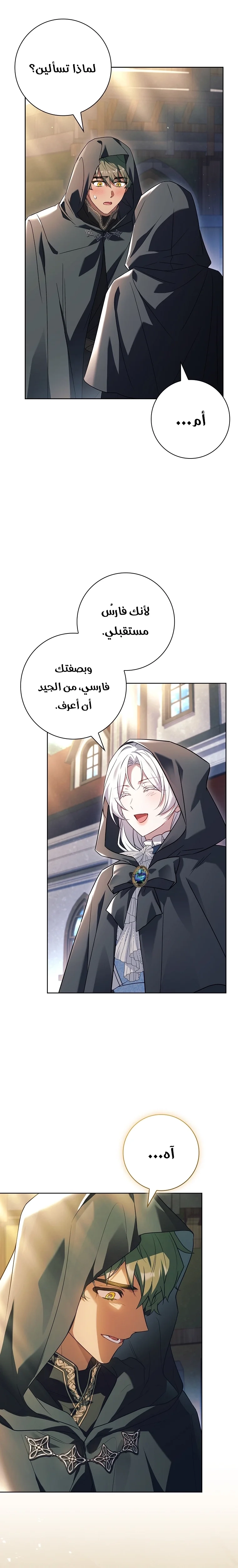 الصفحة 17