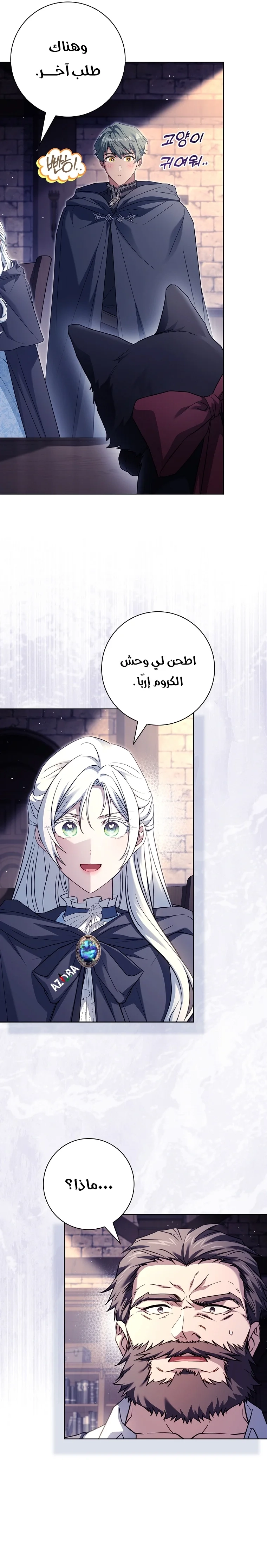 الصفحة 28