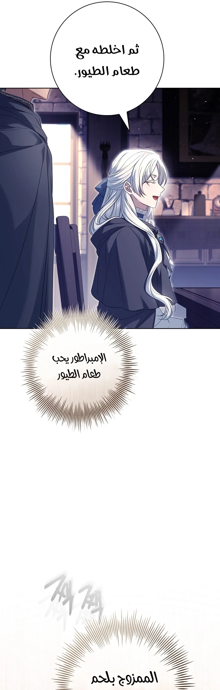 الصفحة 29