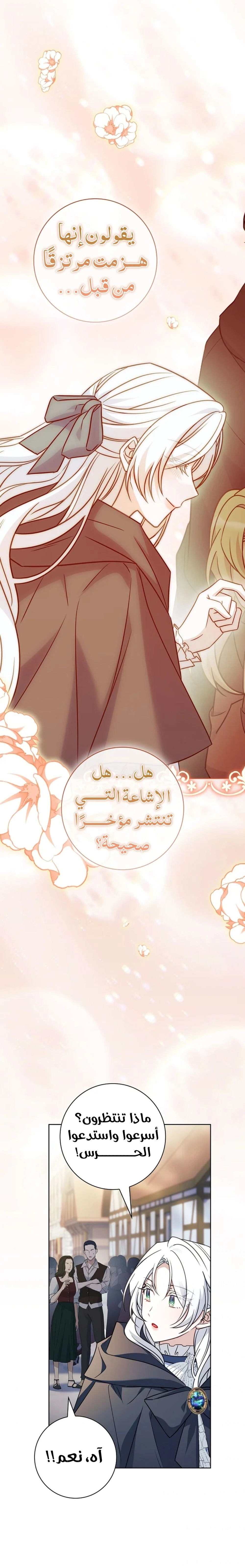 الصفحة 20