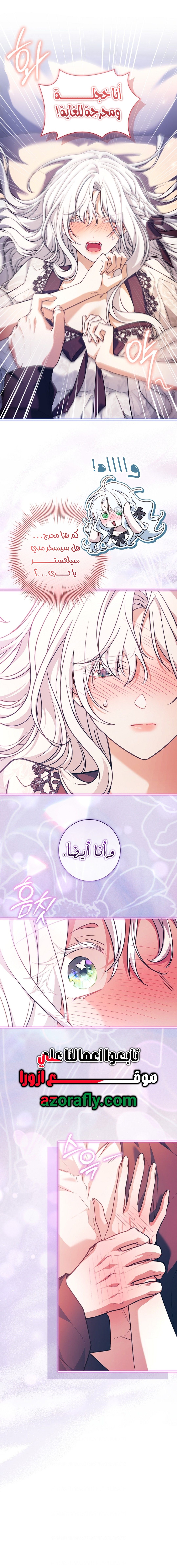 الصفحة 13