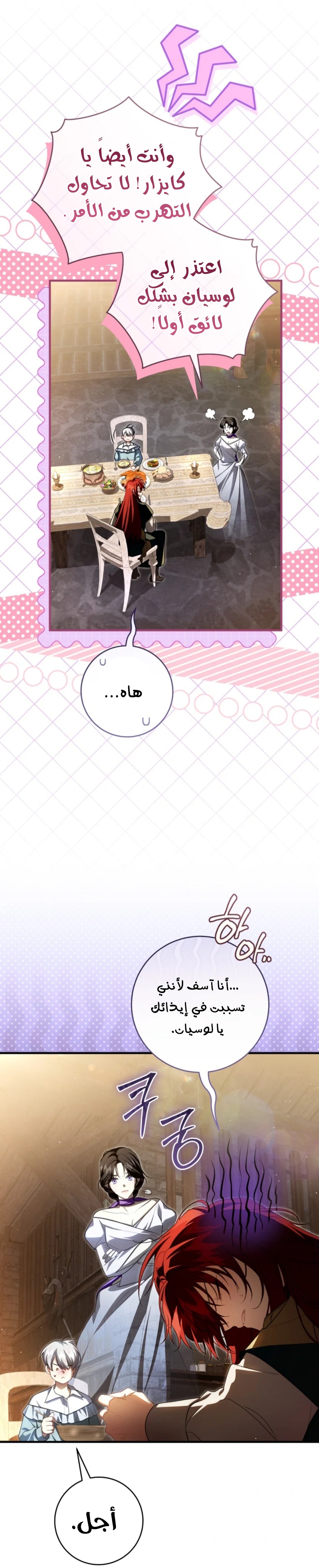 الصفحة 13