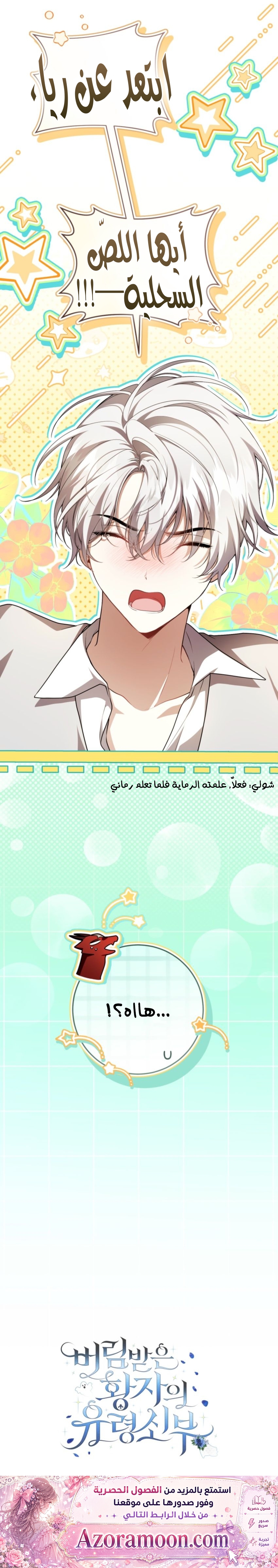 الصفحة 30