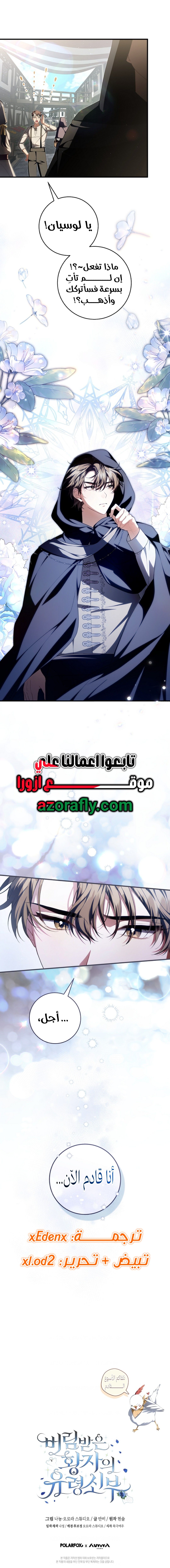 الصفحة 13