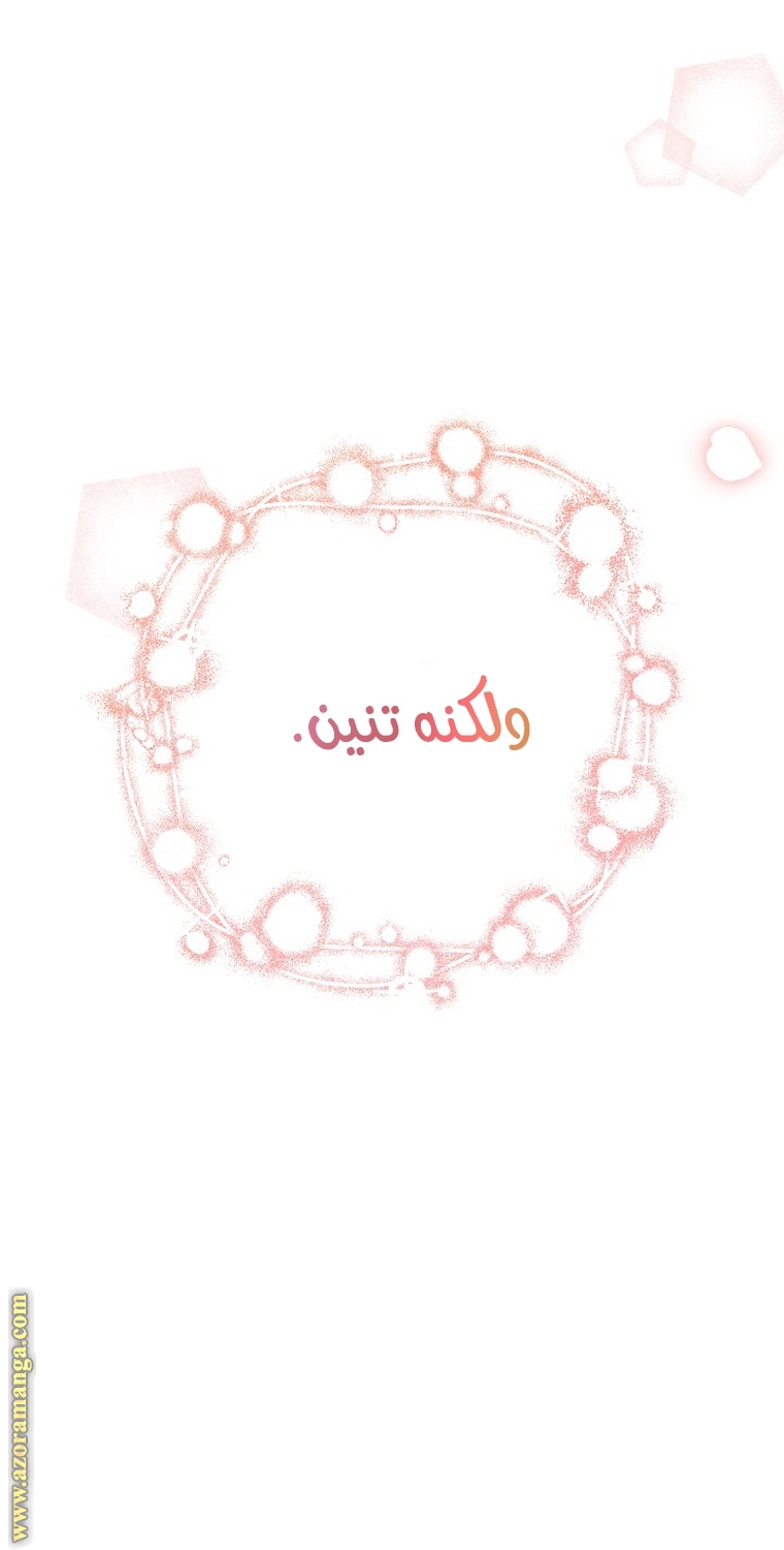 الصفحة 22