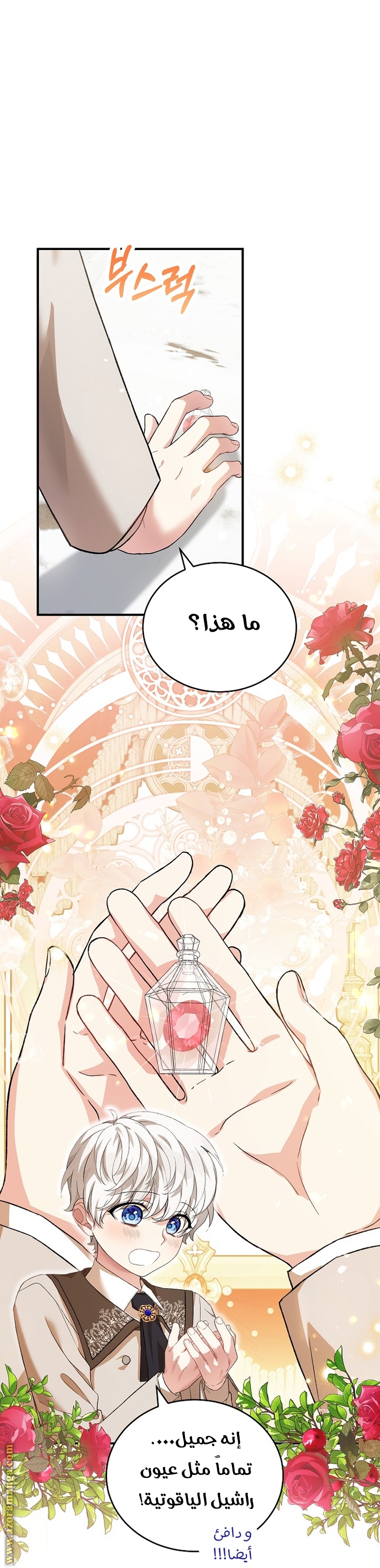 الصفحة 24