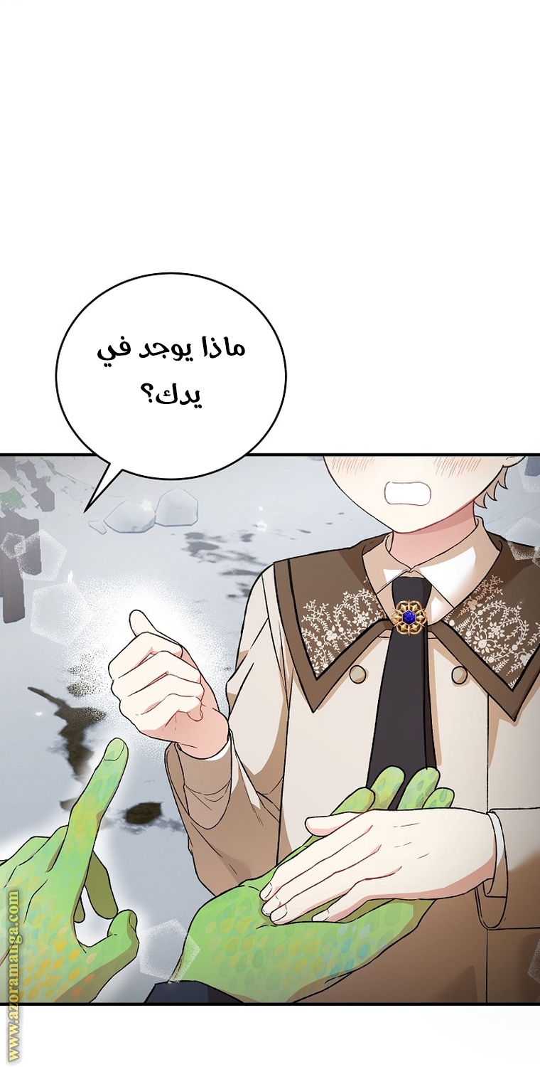 الصفحة 40