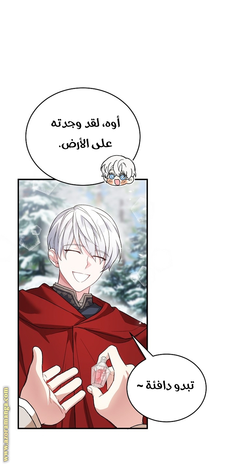 الصفحة 41